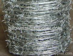 electro galvanized barbed wire in coil
