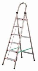 stainless steel ladder