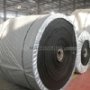 Polyester conveyor belt