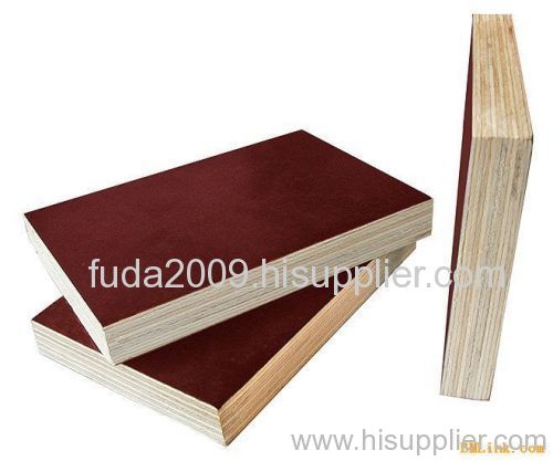 Bintangor plywood