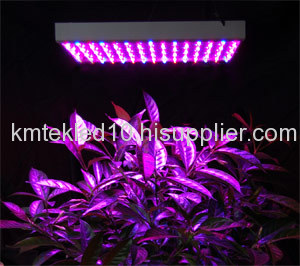 led panel grow light