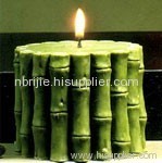 Cactus Candle