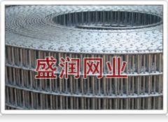 Galvanized Welded Wire Mesh