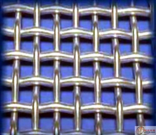 Stainless Steel Crimped Wire Mesh Fence