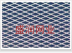 SS Expanded Plate Mesh
