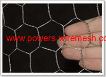 Electro Galvanized hexagonal mesh
