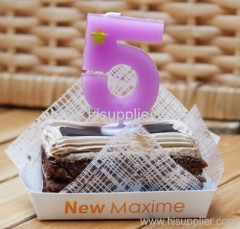2010 New Style 100% Paraffin Wax Birthday Candle