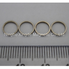 Ring Permanent Magnet