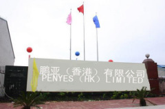 PENYES  (HK) LIMITED