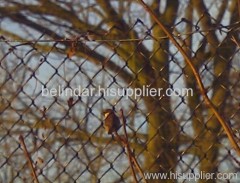 chain link fence