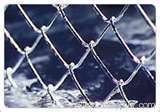 Chain Link Fence