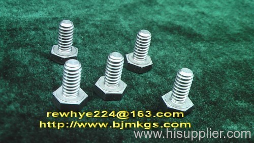 Titanium Screw