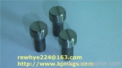 Titanium Fasteners