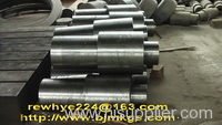 Titanium Forging Product