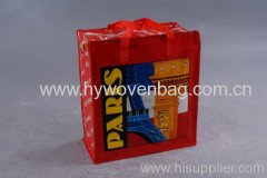 pp woven promotional bag