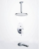 Ceiling Feed Shower System