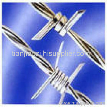 Hot Dipped Galvanize Barbed netting