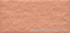 Whole Body Series Exterior Ceramic Tiles