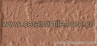 Whole Body Series Exterior Tile, Terracotta Tile