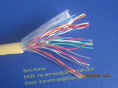 UTP CAT5 10Pairs cable