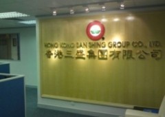 Hong Kong san shing group co ltd