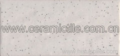 Glazed Series Exterior Slate Tile, Outer Wall Tile