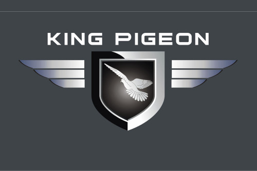 King Pigeon Hi-Tech.Co.,Ltd.