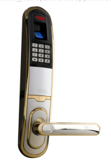 Biometric lock