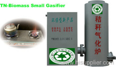 Biomass gasifier