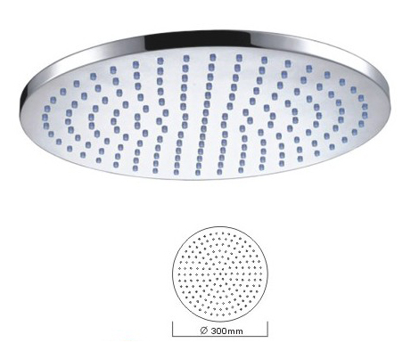 Top Shower Head