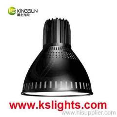 LED Canopy Light