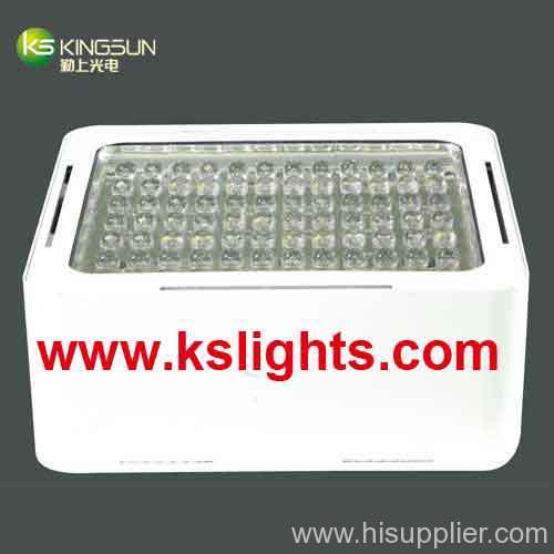 LED Canopy Light