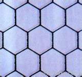 Hexagonal wire mesh