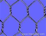 Hexagonal wire mesh