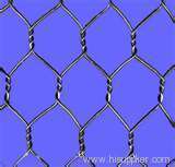 Hexagonal wire mesh