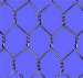 Hexagonal wire mesh