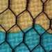 Hexagonal wire mesh