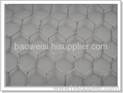 Chicken Wire Mesh