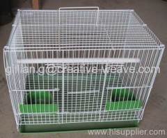 pigeon cage