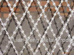 Razor Barbed Wire fences