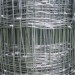 Euro Welded Fence mesh