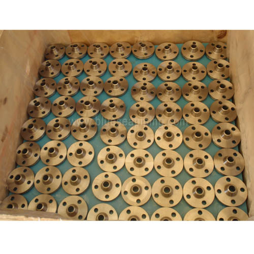 carbon steel WN flanges