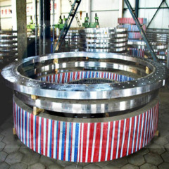 Large-diameter Flange