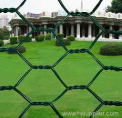 hexagonal wire mesh