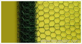 hexagonal wire mesh