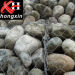 gabions boxes