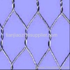 SS hexagonal wire mesh