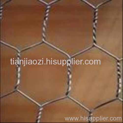 hexagonal wire mesh