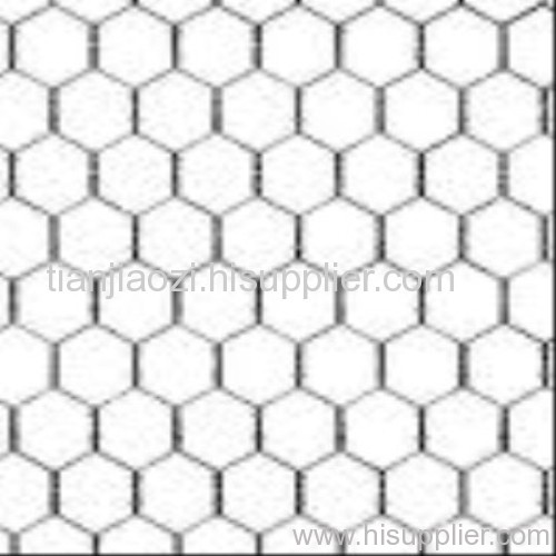 Hot dip galvanized hexagonal wire mesh