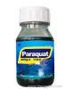 Paraquat